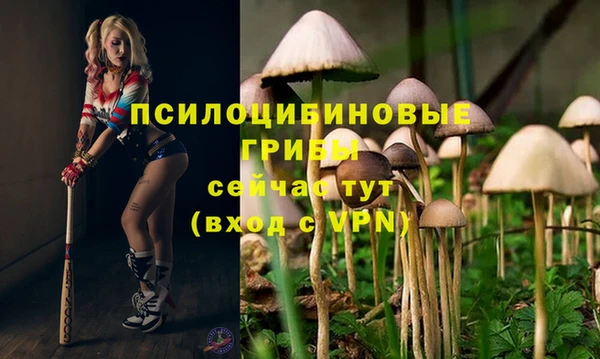 MESCALINE Белоозёрский