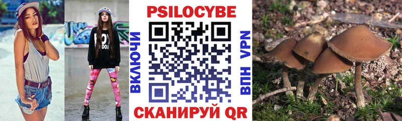 Купить  Гулькевичи  Галлюциногенные грибы мицелий 